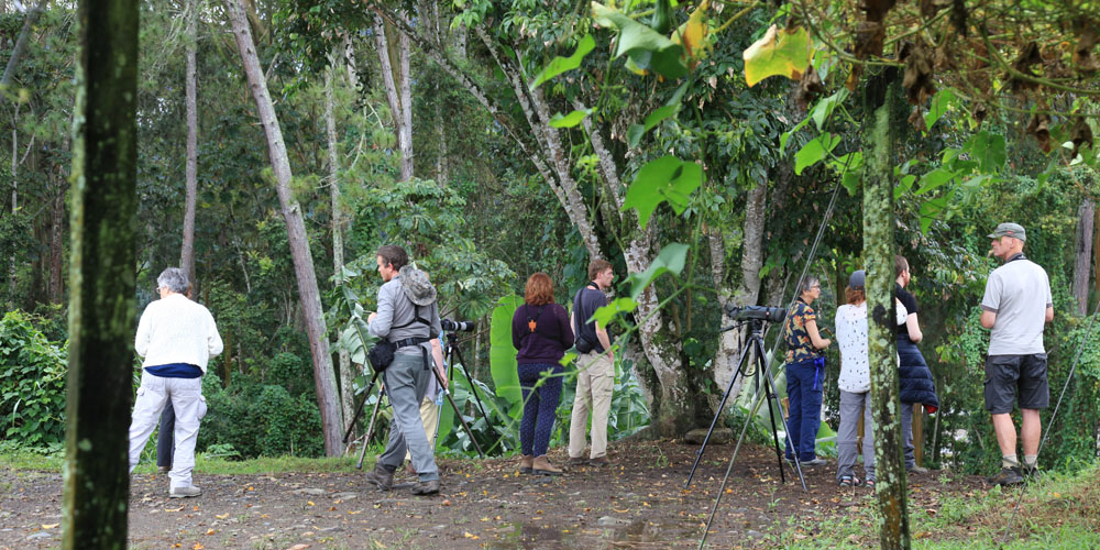 Groep Costa Rica in landschap plantage
